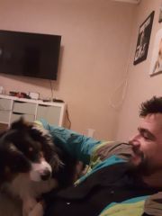 Match med Enkeltvans fra Aust-Agder