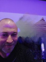 Date Stianwang fra Aust-Agder