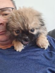 Match med Rober fra Akershus