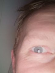 Date Tommy14 fra Nord-Trøndelag