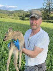 Date Limmo fra Telemark